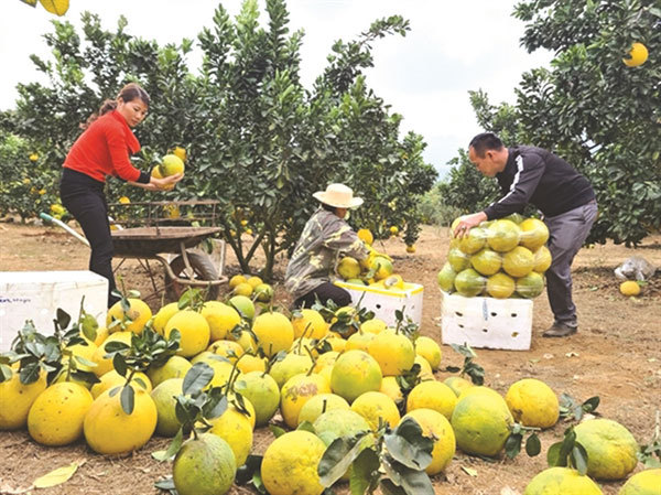 Son La combines tourism and agriculture