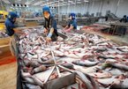 For the sake of sustainable fish export