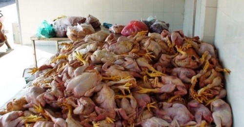 Đáng sợ gà Trung Quốc 20 nghìn/con, sâm Hàn Quốc 500 nghìn/kg
