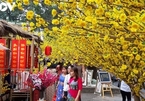 HCM City to host annual flower festival and markets during Tet