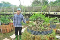 'Choáng ngợp' vườn bonsai 'khủng' ở Đồng Tháp