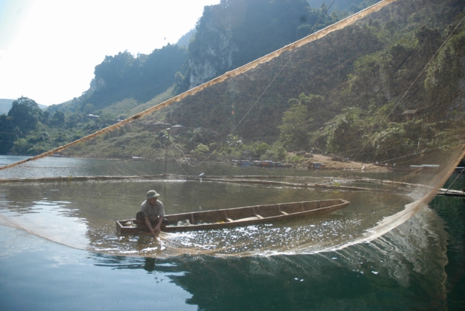 Ba giờ vật lộn bắt thủy quái Sông Đà nặng hơn 50 kg