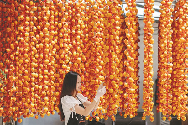 Dried persimmon – a delicacy of Da Lat