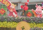 Ho Chi Minh City decorated to prepare for Tet