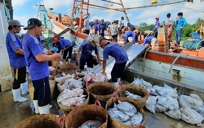 Kiên Giang tháo gỡ khó khăn cho chủ tàu cá