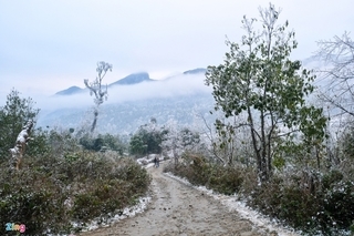 Tourists rush to northern commune to snap photos with snow