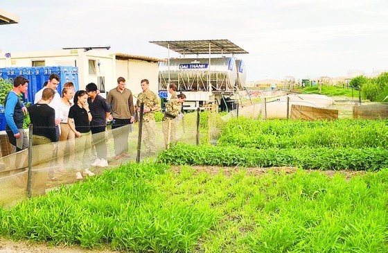 Growing vegetables in Africa, Vietnamese solders respected by international friends