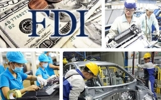 Tax evasion questions raised as 55% of FDI enterprises report losses