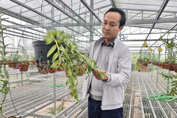 Chủ vườn lan 2000m2 chia sẻ kỹ thuật trồng và chăm sóc hoa lan