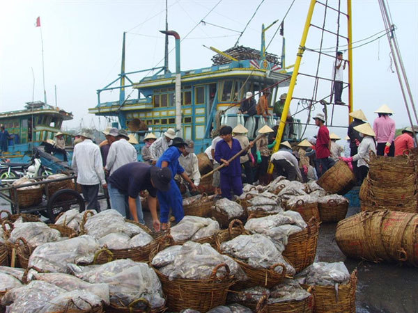 Fishery sector carries out electronic traceability for seafood products