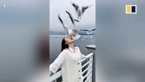 Mê video 'sống ảo' mạng xã hội, thiếu nữ dùng miệng cho chim ăn