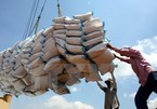 Q1 rice export outlook remains promising