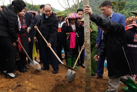 Thủ tướng: Mỗi người trồng một cây xanh, mỗi nhà góp một mảng xanh