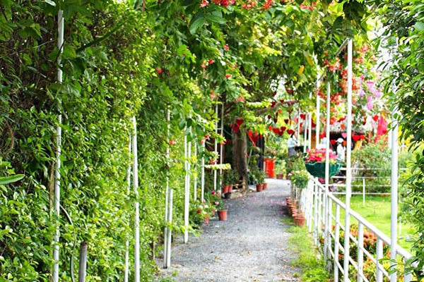 Vợ quyết ly hôn vì tôi không bỏ thuốc lá