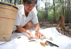 Forest worker inspires people to love the wild