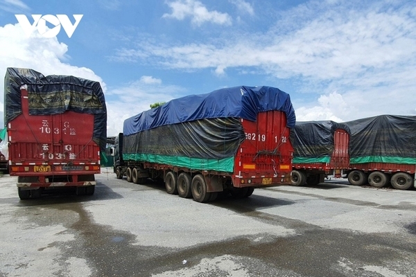 Gần 100 ô tô tải chở đầy hàng lậu vô chủ bỏ rơi ở Lào Cai