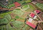 Breath-taking flower field in So Luon, Moc Chau