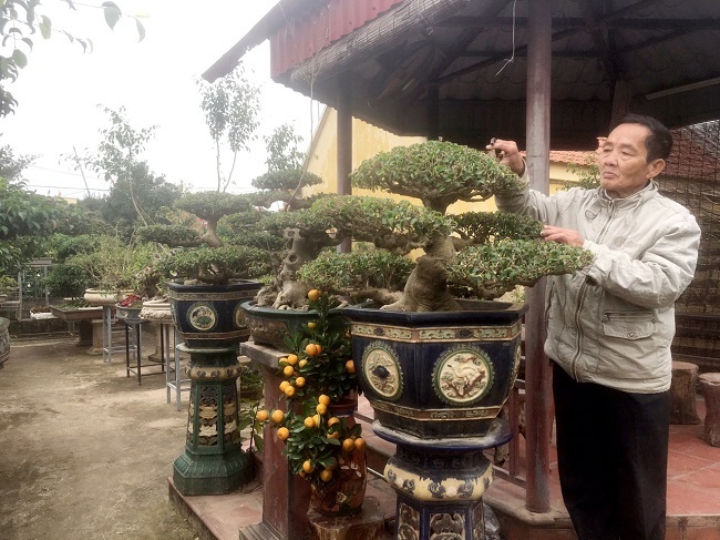 Lão nông để vài tỷ trong vườn ở làng cây cảnh cổ nhất Việt Nam