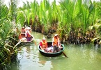 Quảng Nam rút tờ trình chuyển đổi 1ha rừng dừa làm khu đô thị Cồn Tiến