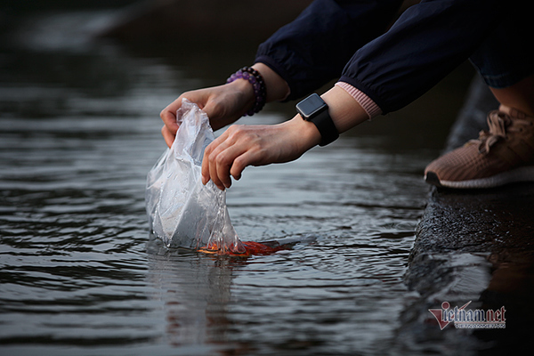 Năm nay, cúng ông Công ông Táo ngày nào