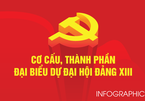 Cơ cấu, thành phần đại biểu dự Đại hội XIII