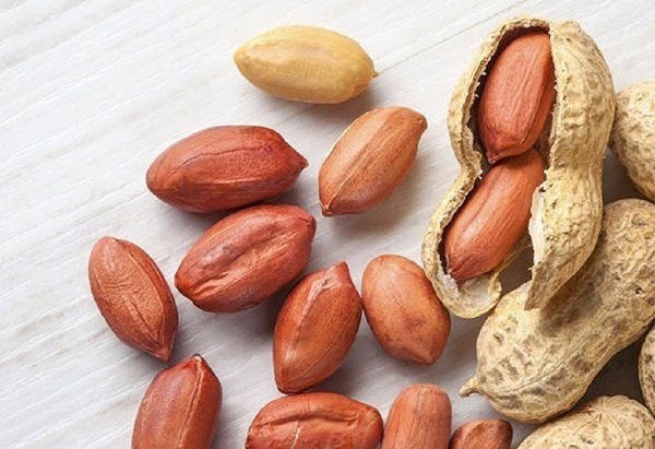Phát hiện hạt lạc trong phế quản bé 18 tháng tuổi sau cơn thở rít bất thường