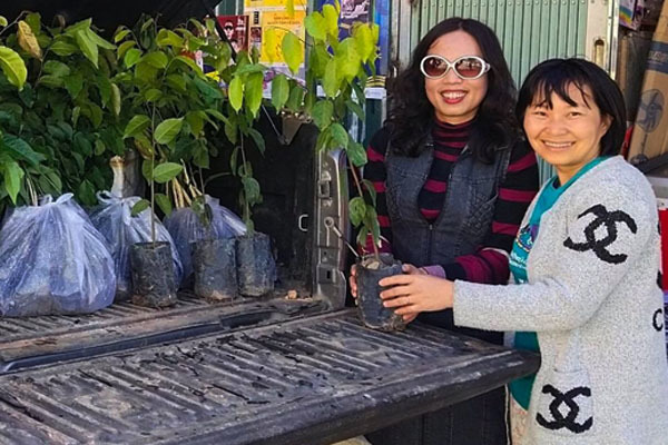 Người phụ nữ Đà Lạt tặng 4.000 cây xanh để 'đi đâu cũng có vườn'
