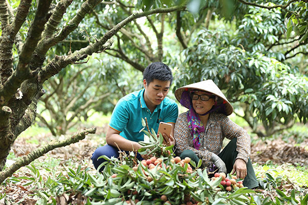 Vùng sâu vùng xa bay thẳng ra toàn cầu: Chỉ 1 con đường nhanh nhất