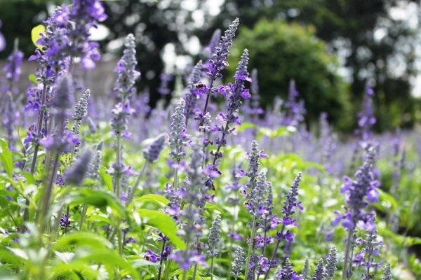 Bạn gái tôi luôn mặc 'kín cổng cao tường'