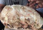 Vô tình nhặt hòn đá 7 kg, ngư dân trẻ được cả 'kho báu' tiền tỷ