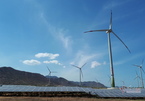 Wind, solar power sees new boom