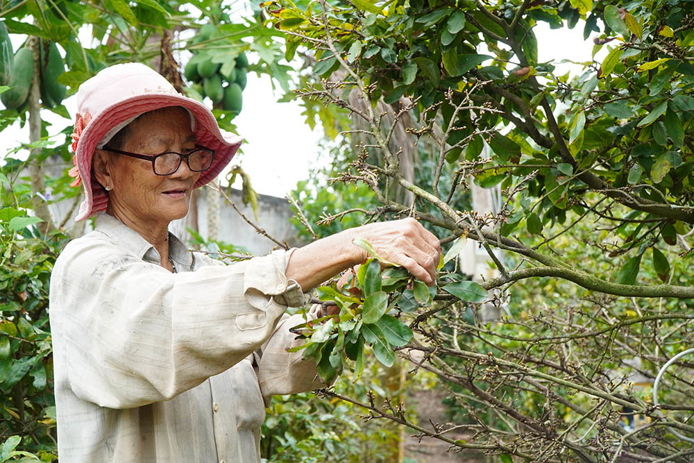 Đại hội đại biểu Hội LHPN thị trấn Dầu Tiếng  lần thứ XIII