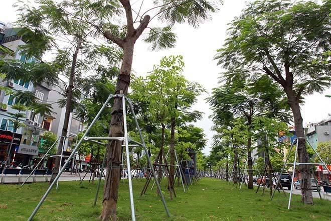 Project to plant 1 billion trees submitted to Prime Minister