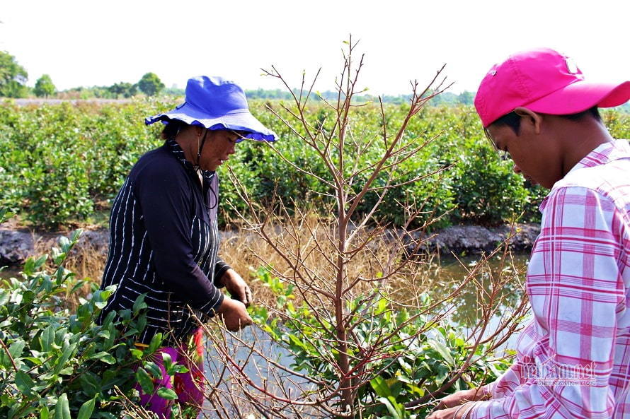 Truyện Những Mảnh Vụn Vỡ