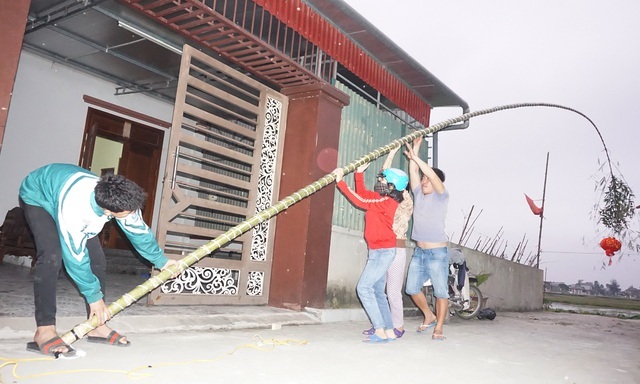 Loại cây 'cắt gốc, còn ngọn' mỗi năm chỉ bán 1 lần rất hút khách mua