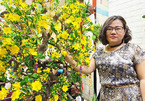 Bà chủ Sài Gòn dùng 35kg đất sét làm cây mai cao 2m chưng Tết