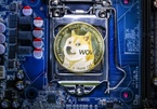 Triệu phú Dogecoin mất 500.000 USD khi thị trường lao dốc
