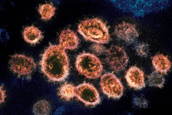 Việt Nam phát hiện 2 trường hợp nhiễm biến thể SARS-CoV-2 từ Nam Phi