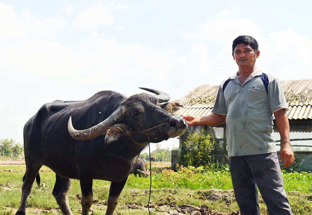 Millionaire story of a “buffalo boy”