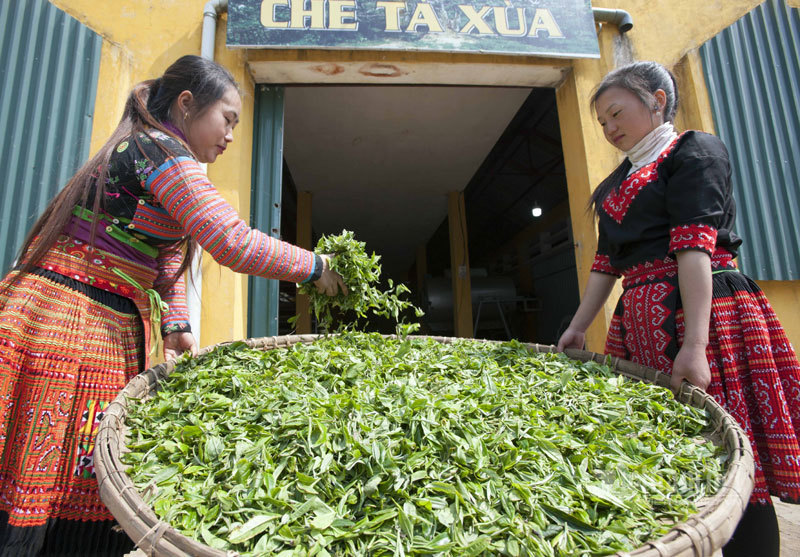 Kho báu cổ của người Mông ẩn hiện trong 'Thiên đường mây'