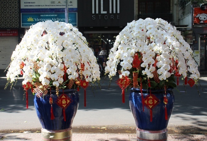 Flower markets see peak activity on pre-Tet days