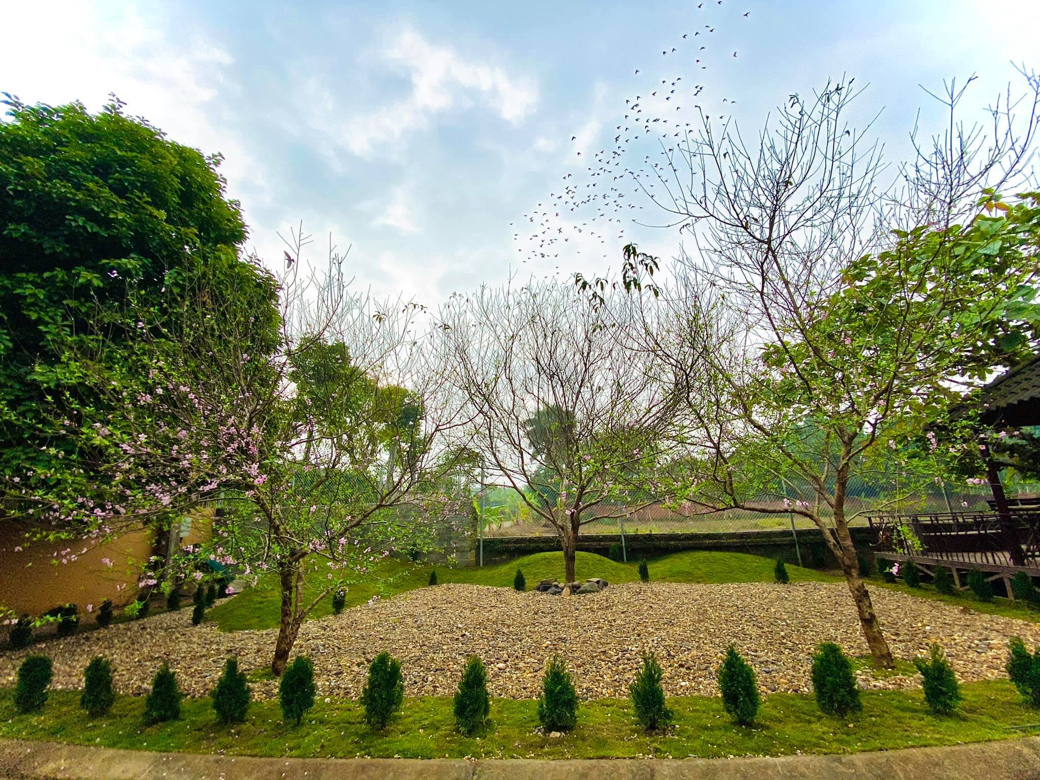 Phường Uyên Hưng (TX.Tân Uyên): Thành lập Chi hội Thanh niên công nhân Kiên Cường