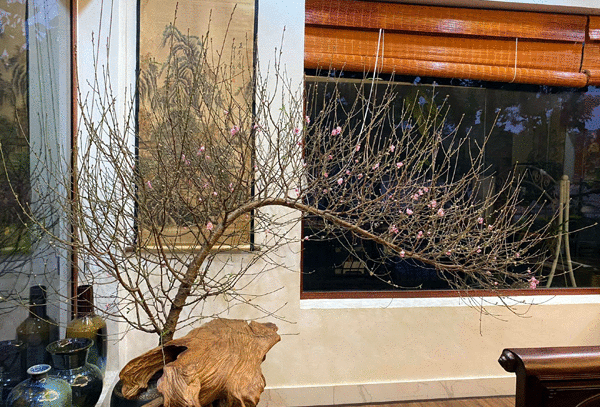 Trang trại 10.000m2 đầy sắc xuân của vợ chồng ca sĩ Việt Hoàn