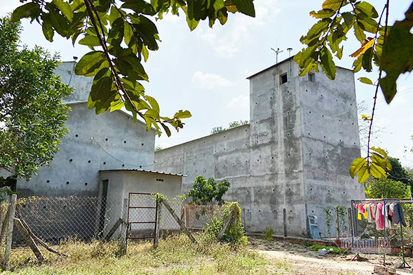 Lộc trời từ 6 con yến, làng Bình Dương bỏ tiền tỷ xây nhà dụ chim về ở