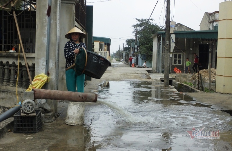 Cúng ông Công, ông Táo: Cá chép đỏ đắt gấp đôi, vét ao thu trăm triệu