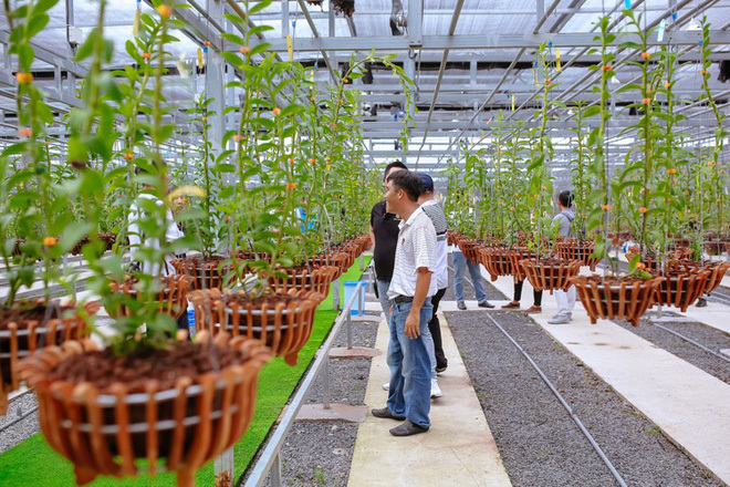 Cặp anh em 'lan đột biến' tậu luôn 2 siêu xe trong 1 tháng: Từ cuộc xiết nợ lấy từng cây lan đến cơ ngơi bạc tỷ
