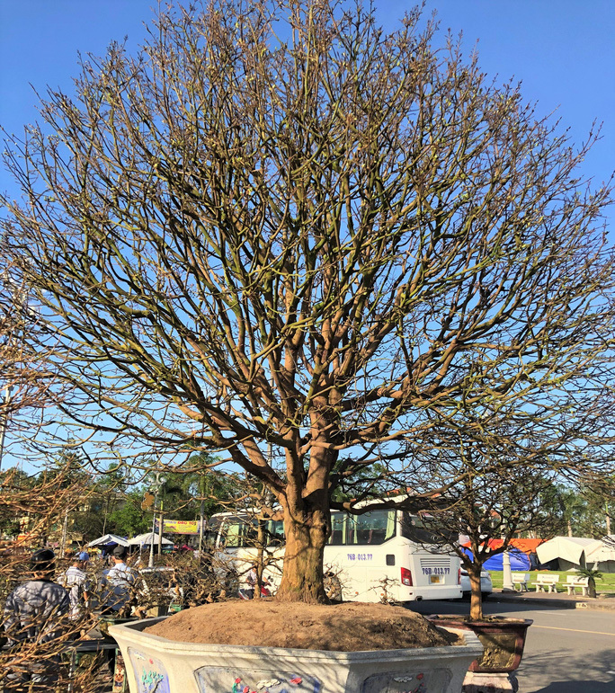 {keywords}