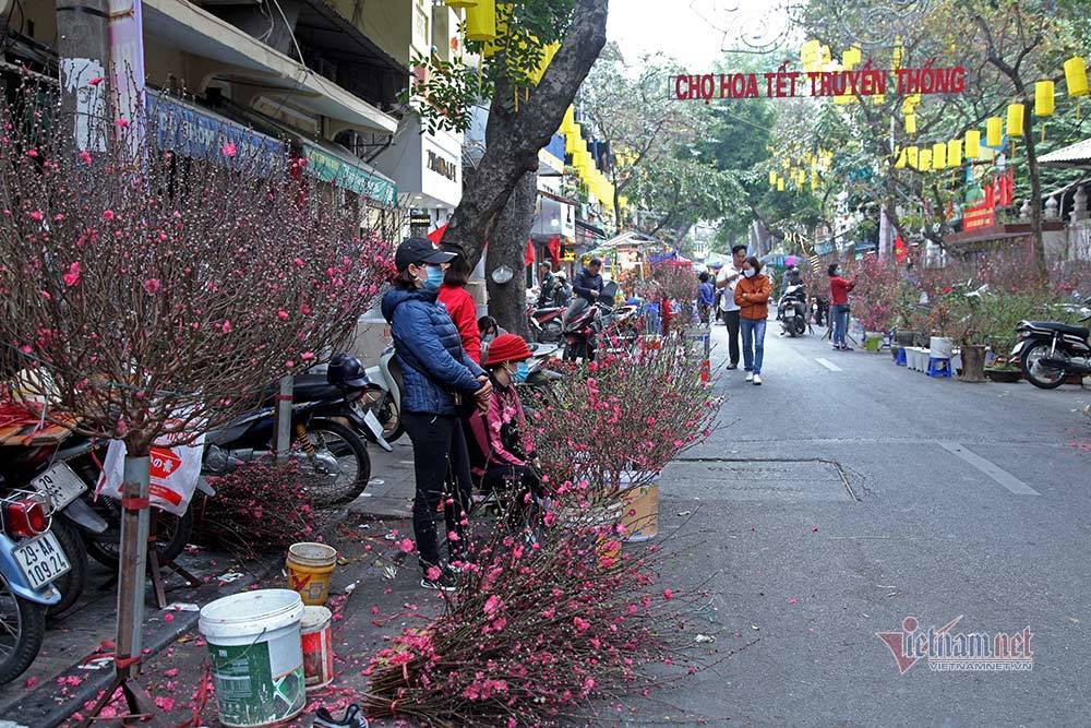 A week before Tet, flower market in Hanoi Old Quarter still quiet