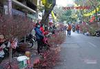 A week before Tet, flower market in Hanoi Old Quarter still quiet