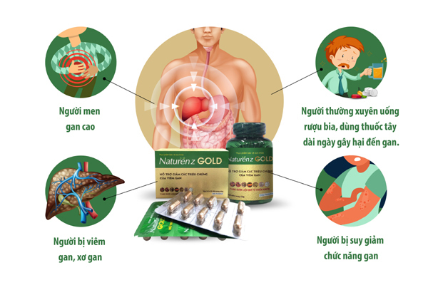 Công thức 7 thảo dược hỗ trợ bảo vệ gan